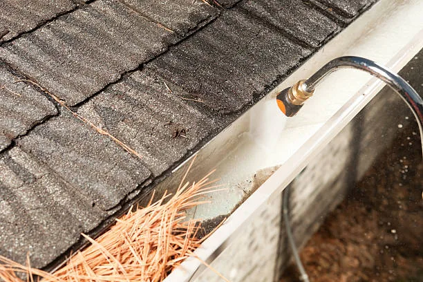 gutter cleaning