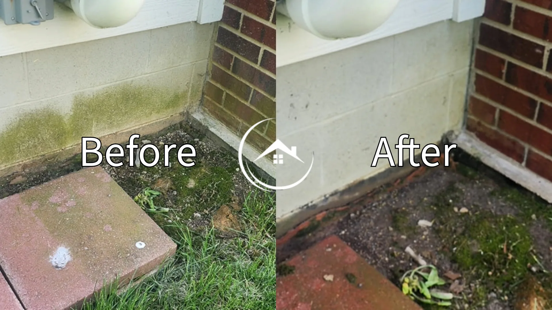 moss before after