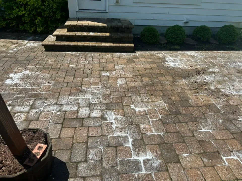 pavers before